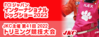 󥿡ʥʥɥå硼2022