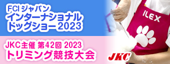 󥿡ʥʥɥå硼2023