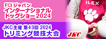 󥿡ʥʥɥå硼2024